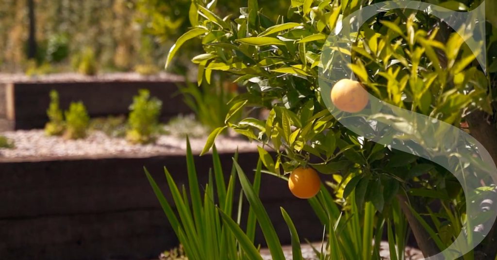 The Importance of Trust, Sincerity & Discretion in Luxury Real Estate