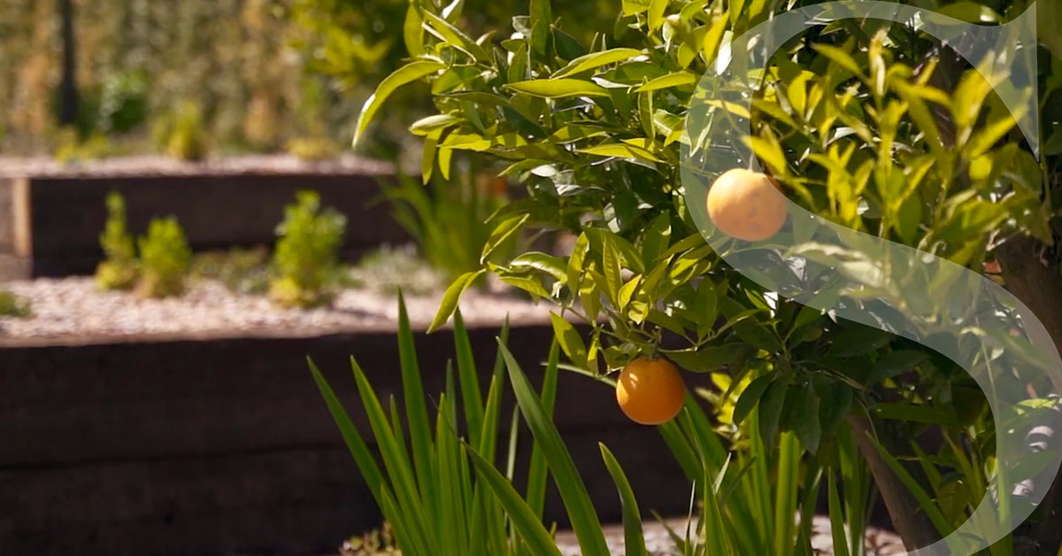 The Importance of Trust, Sincerity & Discretion in Luxury Real Estate